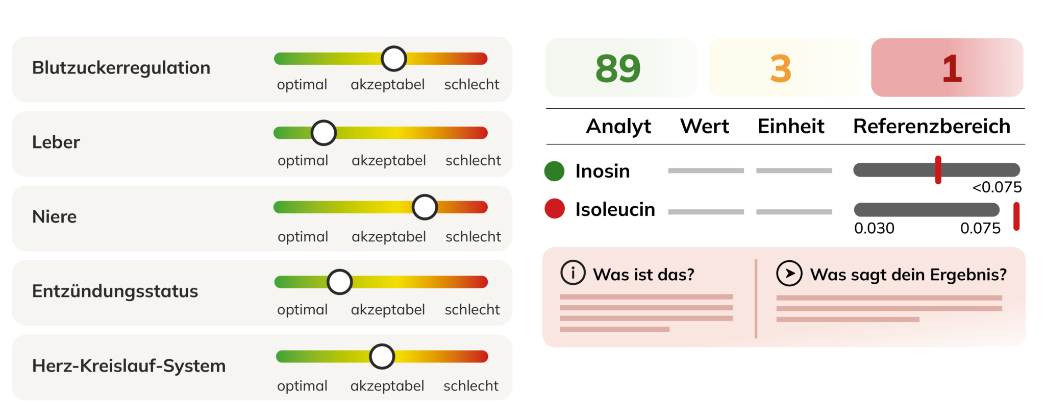 Metabolic Analysebericht