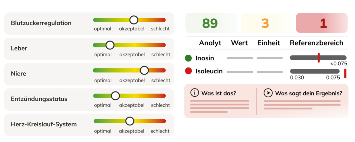 Metabolic Analysebericht