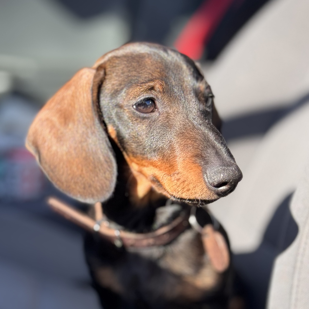 Oskar