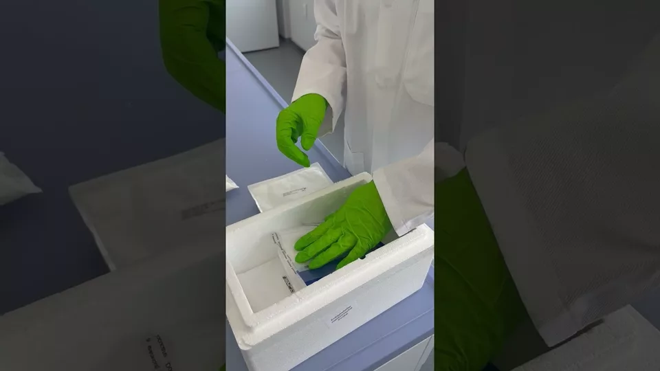 Verpackung der Metabolic-Blutprobe mit Kühlpacks für den Versand ins Labor